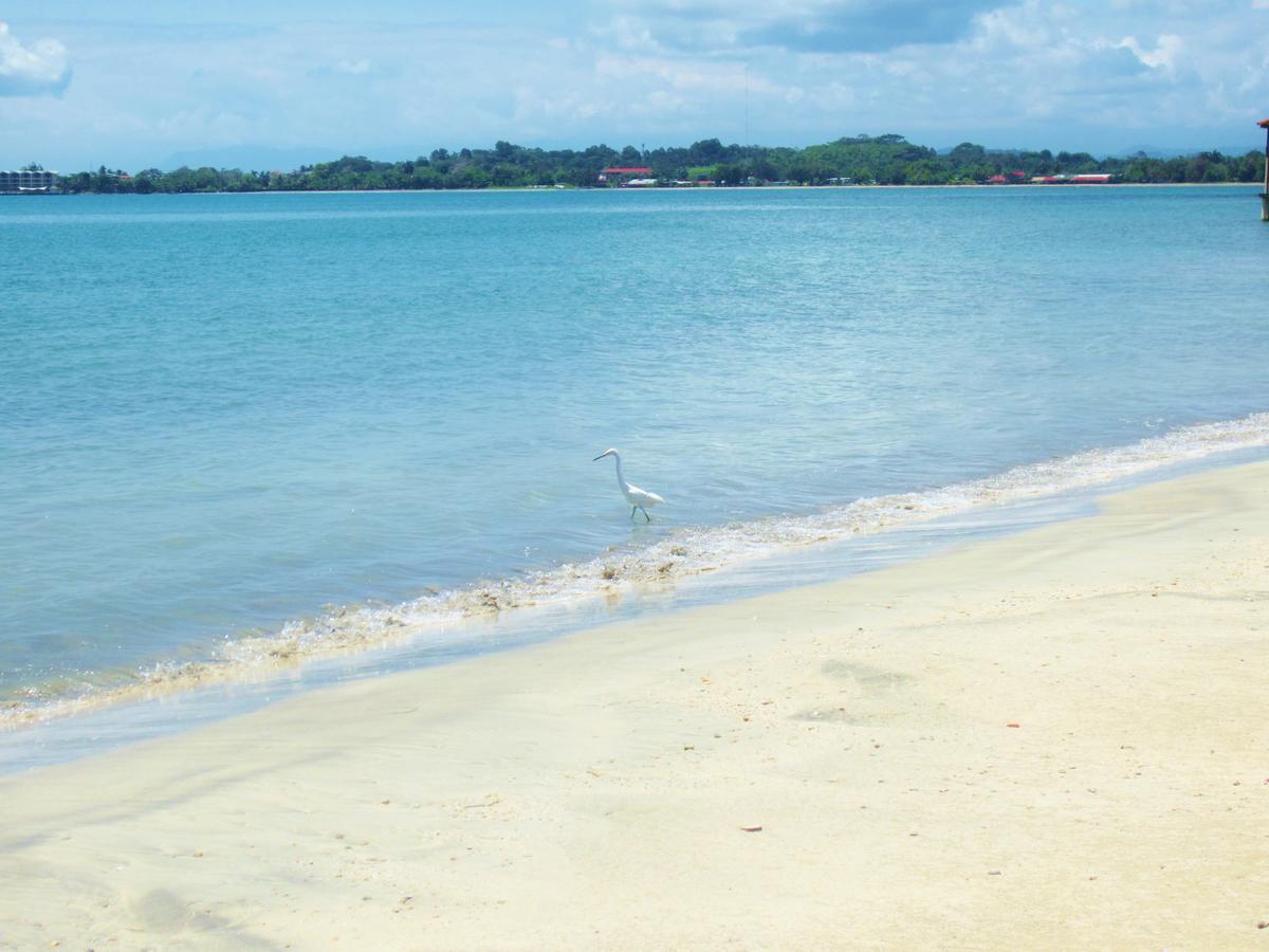 Casa Abundancyah B&B Bocas del Toro Zewnętrze zdjęcie