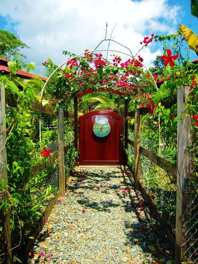 Casa Abundancyah B&B Bocas del Toro Zewnętrze zdjęcie